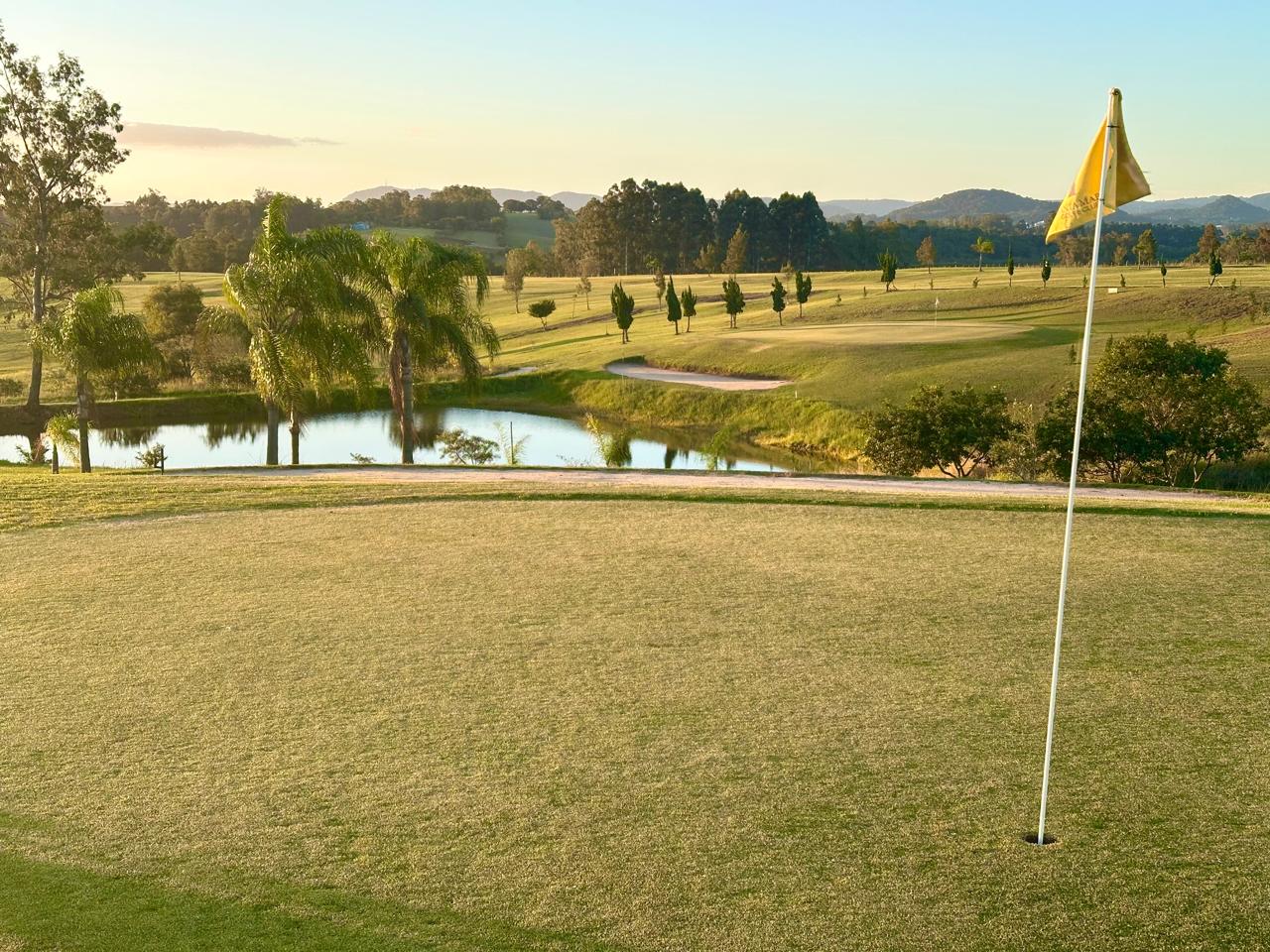 Vista do green com palmeiras e bunker